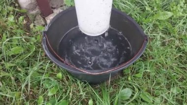 Yağmur suyu bir kovaya damlıyor.