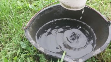 Yağmur suyu bir kovaya damlıyor.