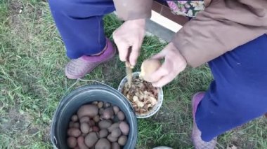 Sokakta patates soyan kadın.