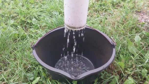 Regenwasser Tropft Aus Einem Abfluss Einen Eimer — Stockvideo