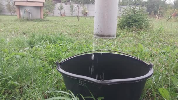 Eau Pluie Qui Coule Drain Dans Seau — Video