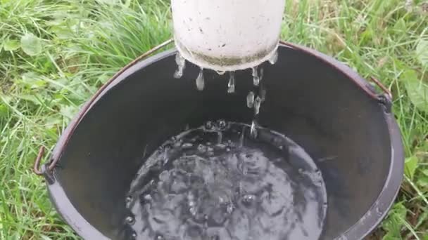 Βρόχινο Νερό Που Στάζει Από Μια Αποχέτευση Έναν Κουβά — Αρχείο Βίντεο