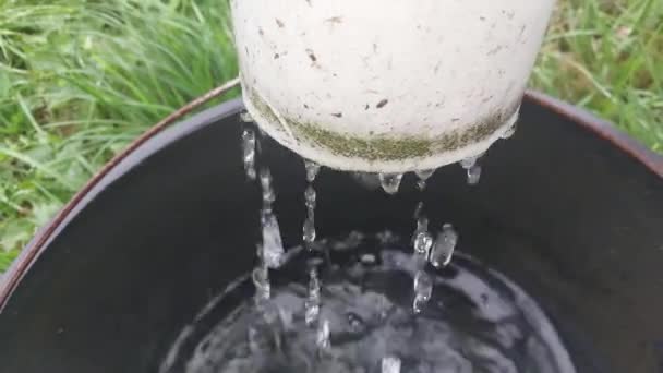 Eau Pluie Qui Coule Drain Dans Seau — Video