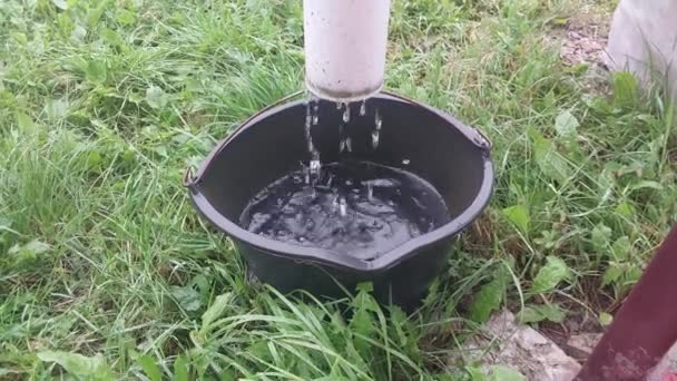 Eau Pluie Qui Coule Drain Dans Seau — Video