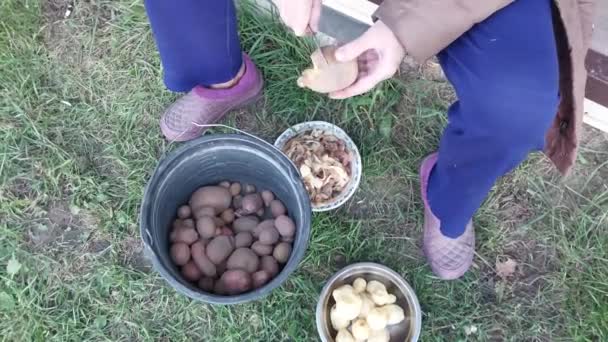 Жінка Чистить Картоплю Вулиці — стокове відео