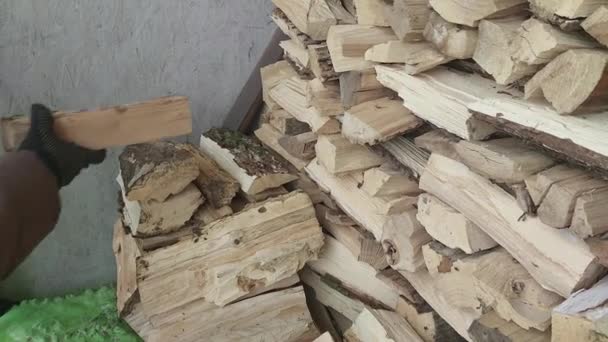 收集碎木柴 在冬天取暖 — 图库视频影像