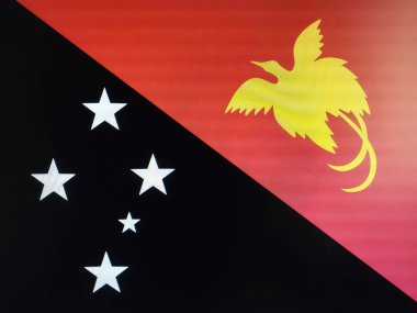 Devletin resmi bayrak sembolü