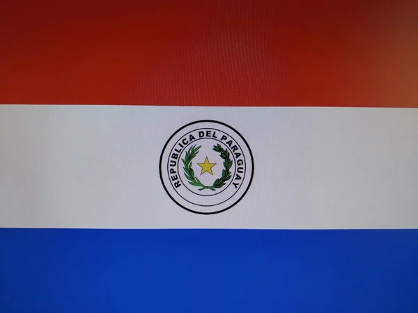 Állam Hivatalos Zászlójele — Stock Fotó