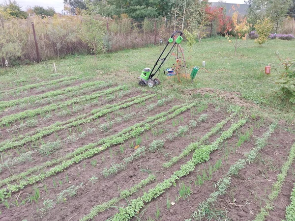 Kyiv Oblast Ucrania Octubre 2022 Cultivo Camas Con Manual Eléctrico —  Fotos de Stock