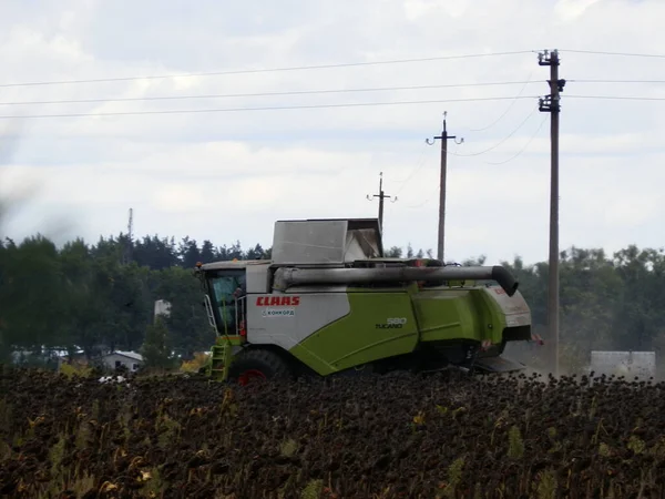 Kyiv Oblast Ukraine October 2022 Combine Harvester Mows Vests — 图库照片