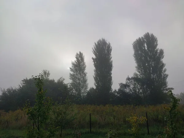 Φθινοπωρινή Ομίχλη Στο Χωριό — Φωτογραφία Αρχείου