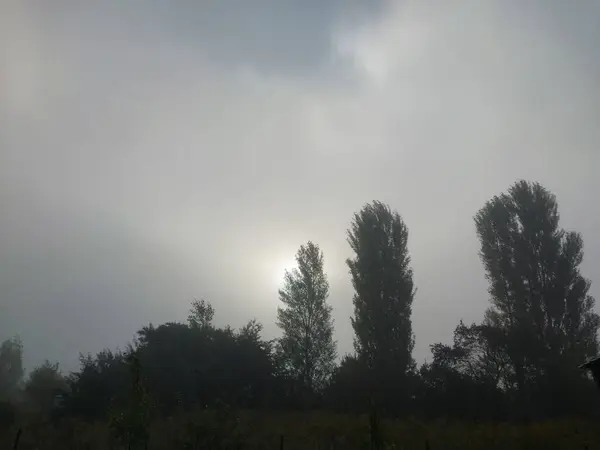 村の秋の朝の霧 — ストック写真