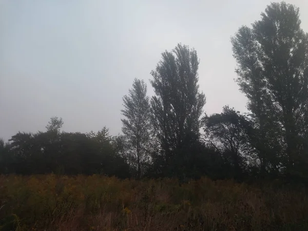 秋天的晨雾弥漫在村子里 — 图库照片