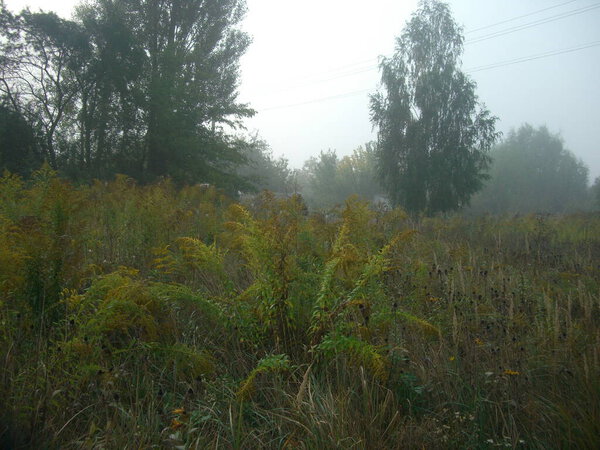 Autumn morning mist in a the village