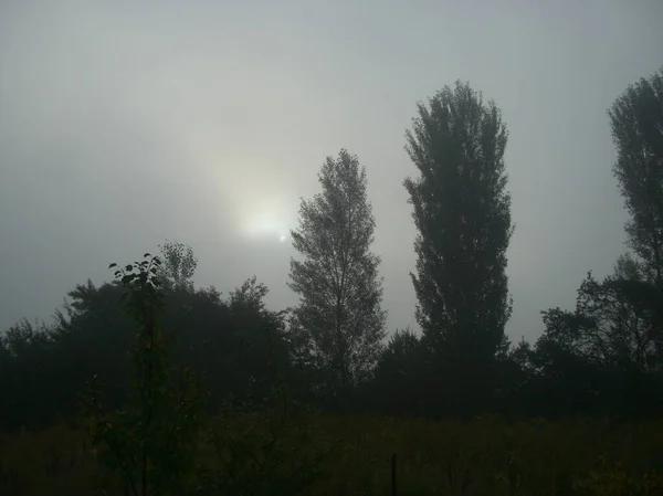 Brume Matinale Automne Dans Village — Photo