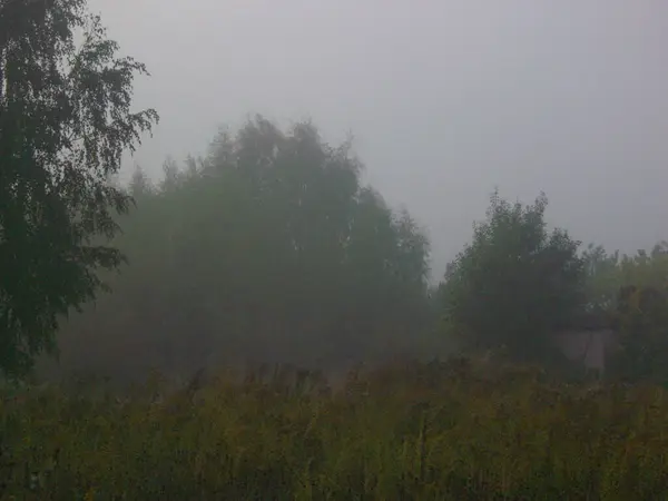 Φθινοπωρινή Ομίχλη Στο Χωριό — Φωτογραφία Αρχείου