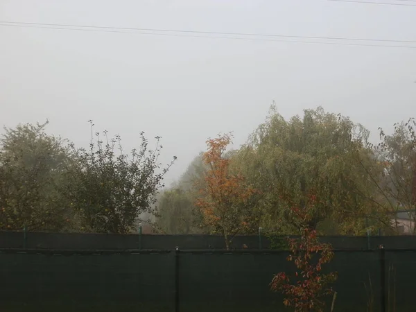 Brume Matinale Automne Dans Village — Photo