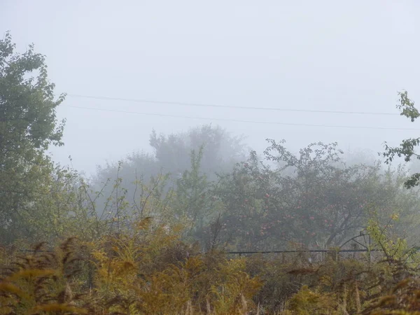 Herbstlicher Morgennebel Dorf — Stockfoto