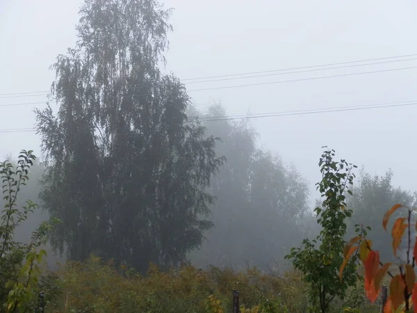 Осенний Утренний Туман Деревне — стоковое фото