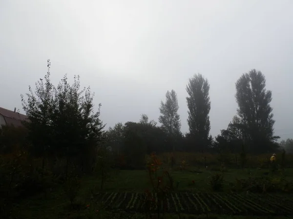 Jesienny Poranek Mgła Wieś — Zdjęcie stockowe