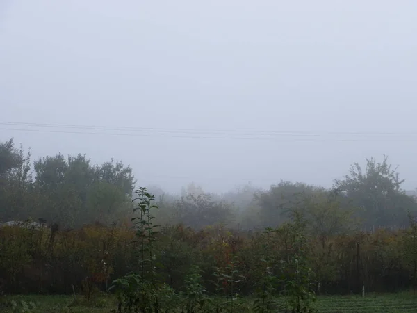 Herbstlicher Morgennebel Dorf — Stockfoto