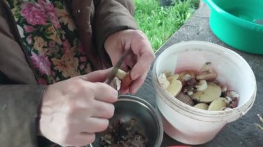 Yemek pişirmek için orman mantarlarını temizliyorum.