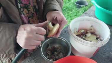Yemek pişirmek için orman mantarlarını temizliyorum.