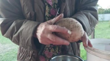 Yemek pişirmek için orman mantarlarını temizliyorum.