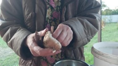 Yemek pişirmek için orman mantarlarını temizliyorum.