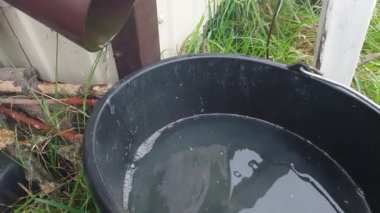 Yağmur suyunu kanalizasyondan kovaya boşaltmak