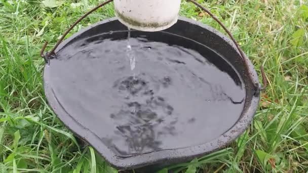 Drainage Eau Pluie Drain Dans Seau — Video