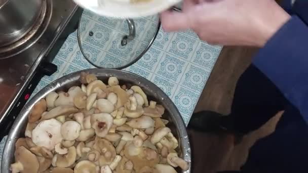 Cortar Setas Silvestres Para Cocinar — Vídeos de Stock