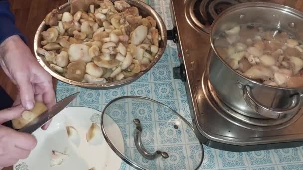 切碎野生蘑菇烹调 — 图库视频影像
