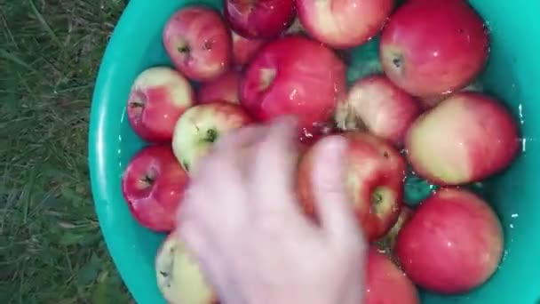 Elmaları Bir Kase Suda Yıkamak — Stok video