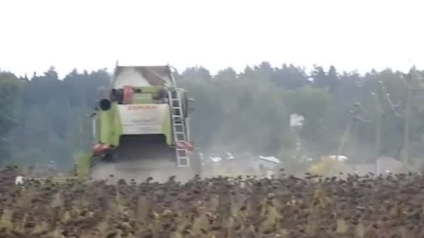 Kyiv Oblast Ukraine October 2022 Combine Harvester Mows Harvests — Stock Video