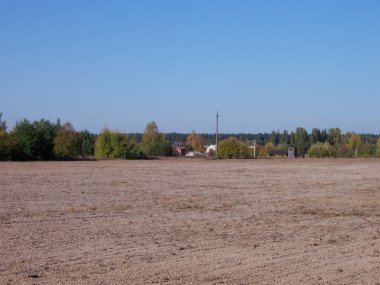 Sonbahar tarlasının panoraması