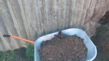 Bahçe gübresi için domuz gübresi toplanmış.