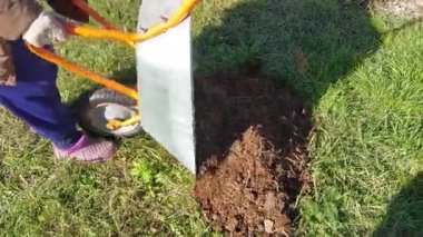 Bahçe gübresi için domuz gübresi toplanmış.