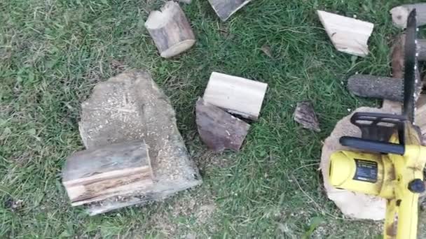 Tűzifa Vágása Elektromos Fűrésszel Ház Udvarán — Stock videók