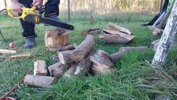 Cutting Firewood Electric Saw Yard House — Stock Video