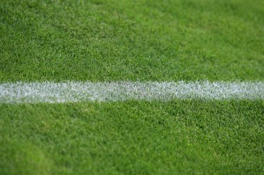 futbol gol çimenlerin üzerinde beyaz çizgilerle Stadyumu futbol sahası, çim
