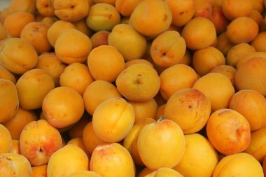 arka sokak pazar için taze Naturel kayısı