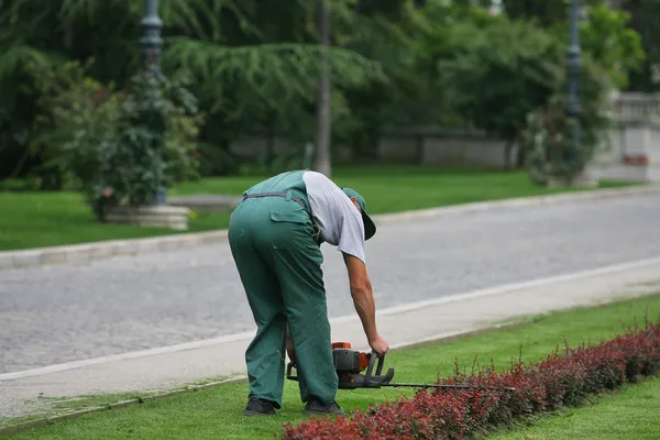 Jardinero trabajando en invernadero, setos de recorte de hombre — Foto de Stock