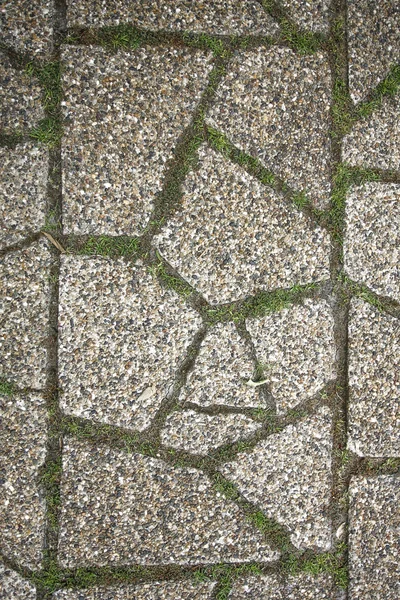 The fragment of a pavement — Stock Photo, Image