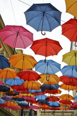 şemsiyeler farklı renklerde