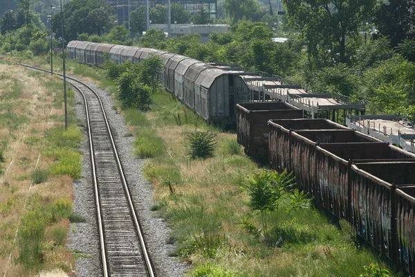 Yük treni platform demiryolu kırsal bir sahne, bir pas ile kaplı nakliye konteynerler boş demiryolu izler. — Stok fotoğraf