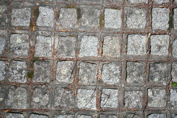 Il frammento di un marciapiede Pavimentazione in pietra con fori — Foto Stock