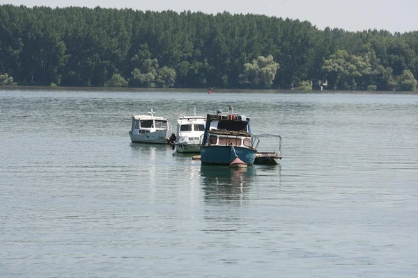 Човни на річці круїзні човни на річкових човнах якірні — стокове фото