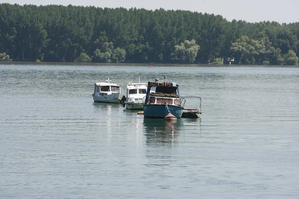 Boats on the river cruise boat on the river boats anchored — Stock Photo, Image