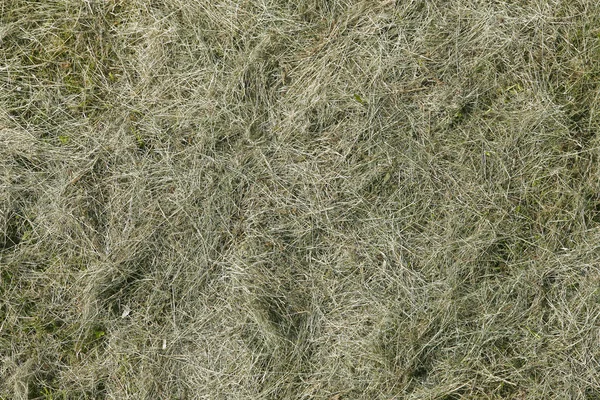Texture d'herbe verte ou fond de terrain de golf et terrain de football — Photo